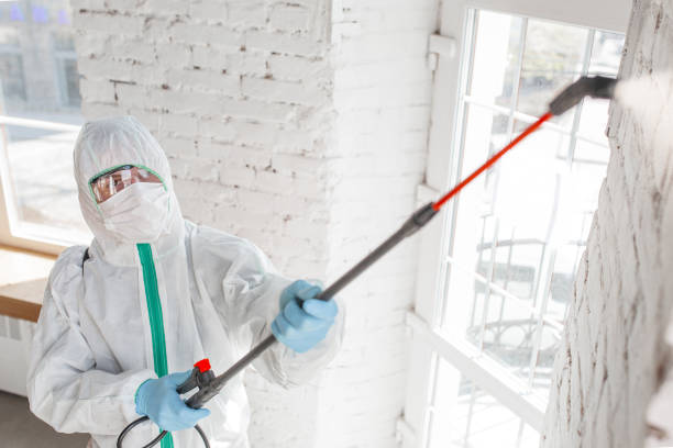 Best Industrial Mold Remediation  in Waxahachie, TX